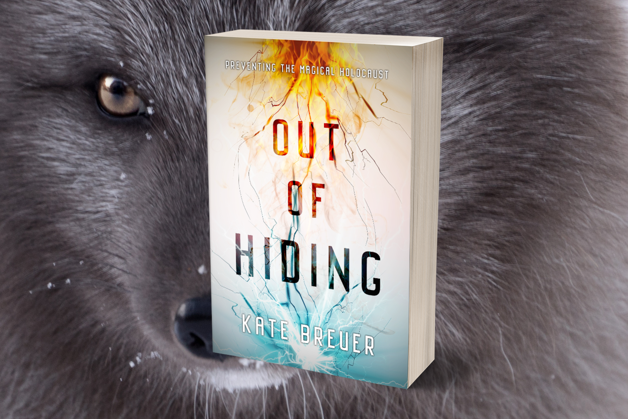 Mockup of the book Out of Hiding