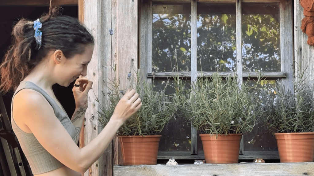 Kate is grinning widely while inspecting a lavender plant. There are three lavender plants in pots in front of a very old wooden garden house.